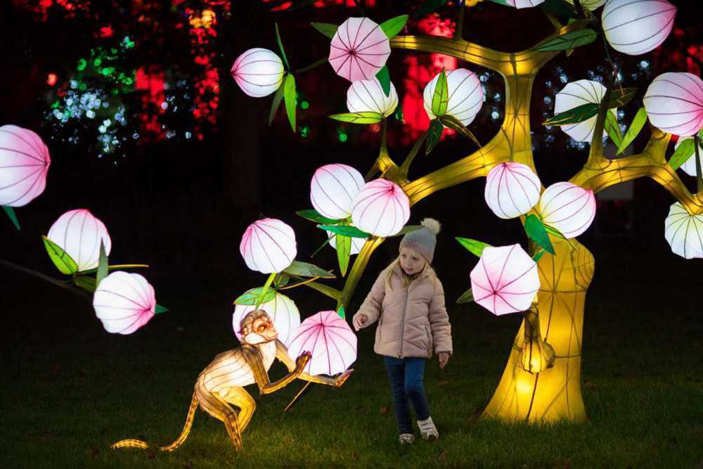 星火助力自贡彩灯闪耀“一带一路”，放眼世界，耀我中华